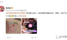 圆梦之星最新爆料是真的吗,真实性揭秘