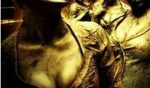 寂寞岭在线观看,沉浸式探险，揭开神秘古堡的幽暗面纱